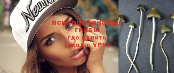 ешки Слюдянка