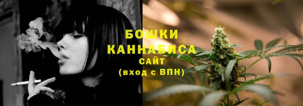 молекула духа Снежинск