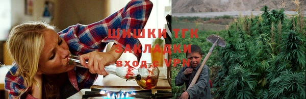 твердый Снежногорск