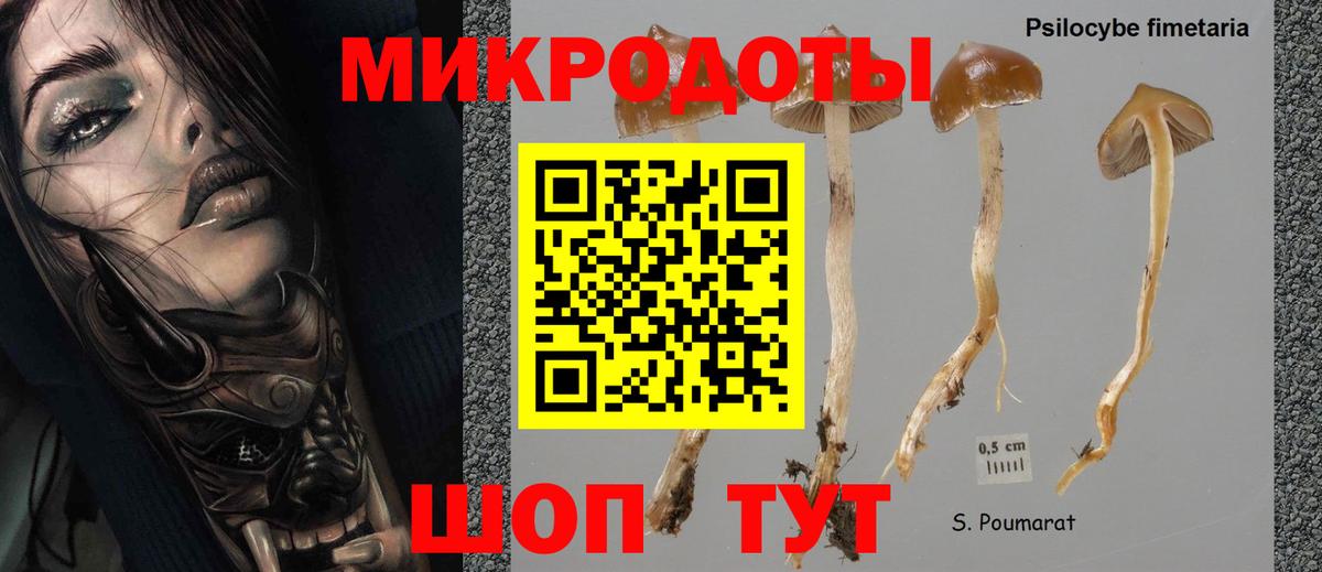 где продают   Галлюциногенные грибы Psilocybe  Псилоцибиновые грибы Cubensis  Вход с VPN  Карталы 